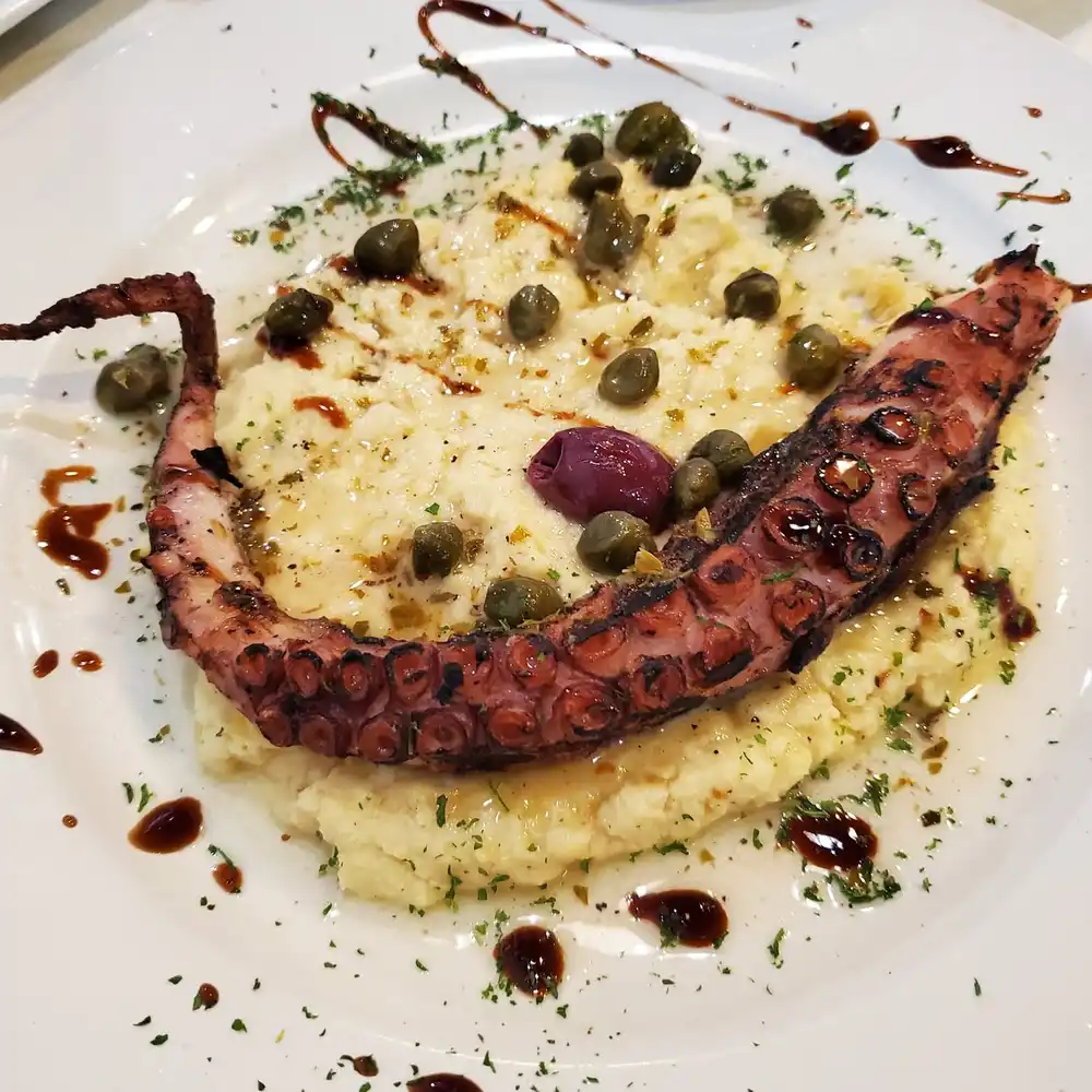 A grilled octopus tentacle over fava with capers and balsamic reduction